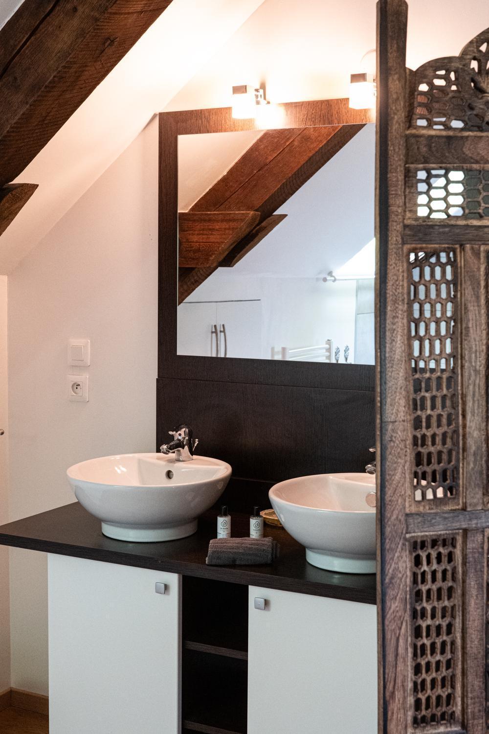 Carnot Duplex, Spacieux 3 Pieces Avec 2 Chambres Sur Les Rue Pietonnes Анси Екстериор снимка